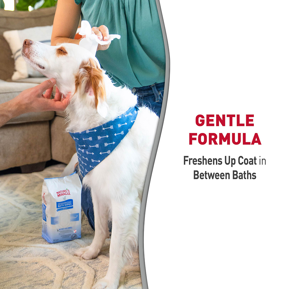 Deodorizing Bath Wipes For Dogs Neutralize Tough Pet Odors